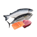 Imported Fish