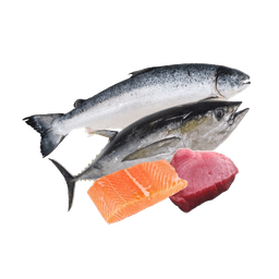 Imported Fish