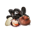 Shellfish