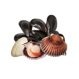 Shellfish